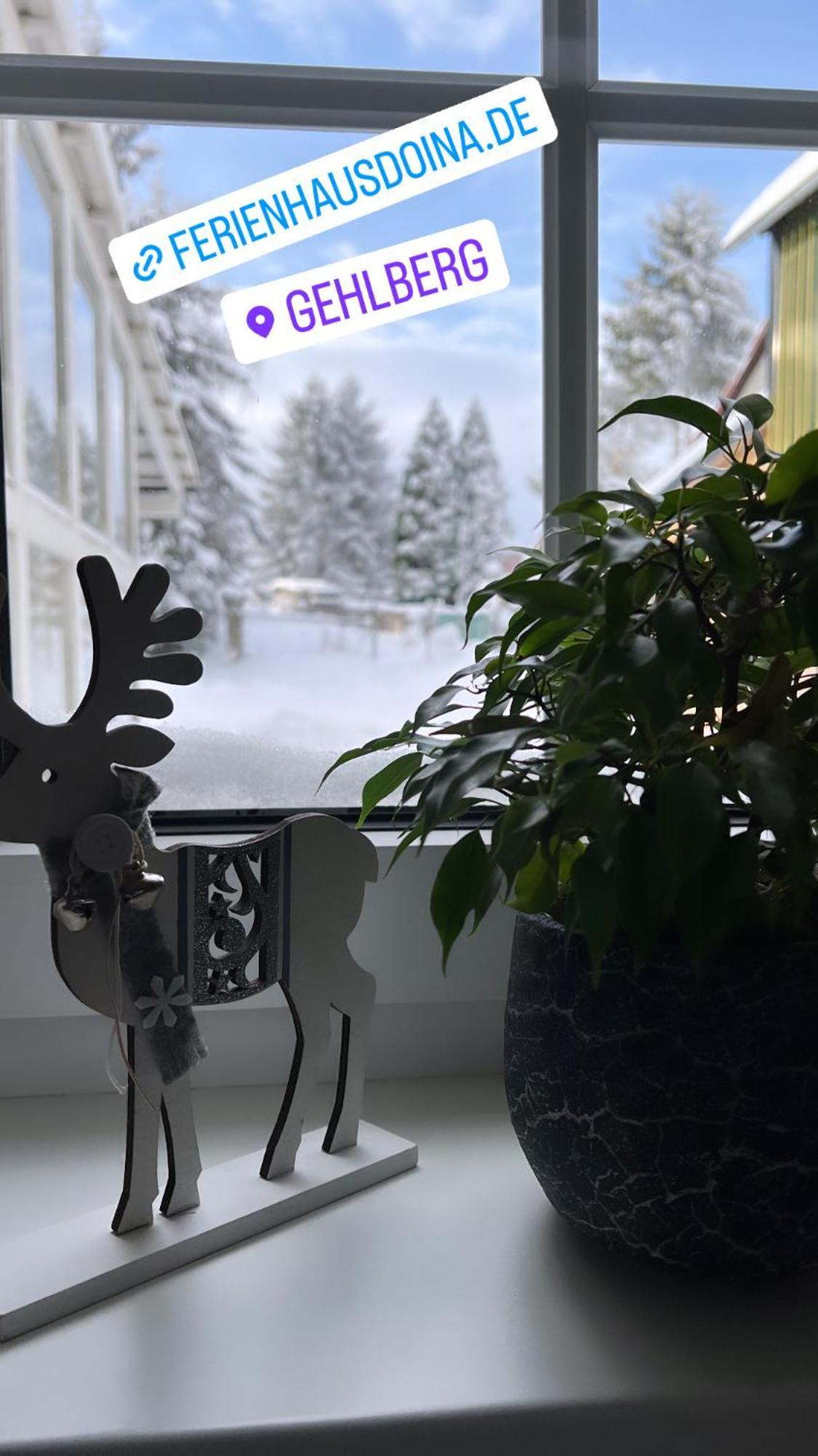 Ferienhaus Doina Gehlberg Extérieur photo