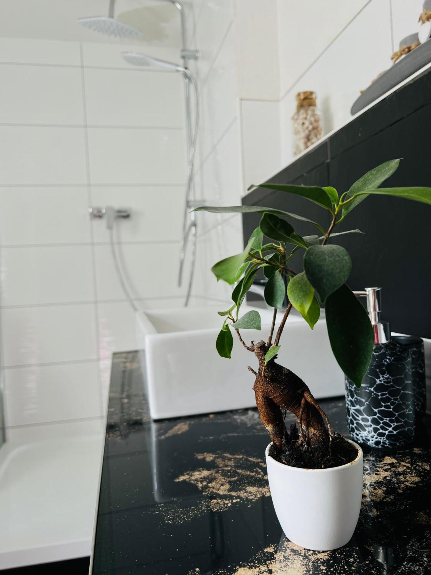 Ferienhaus Doina Gehlberg Extérieur photo